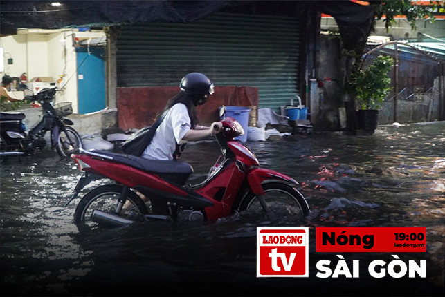 Nóng Sài Gòn 15.9
