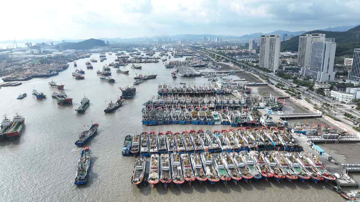 Tau ca tro ve cang o thanh pho Chu Son, tinh Chiet Giang, Trung Quoc, ngay 14.9.2024. Anh: China Foto Press