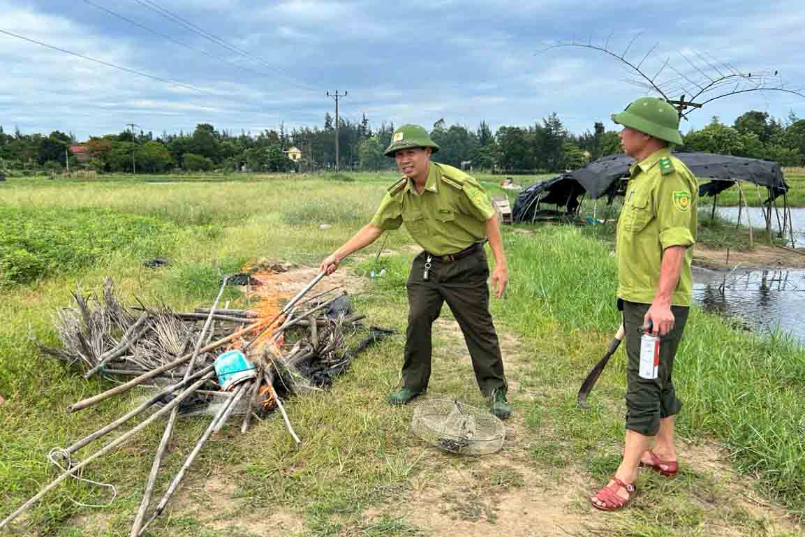 Lực lượng Kiểm lâm Hà Tĩnh tăng cường kiểm tra, tiêu hủy bẫy chim trời trên địa bàn. Ảnh: Trần Tuấn.