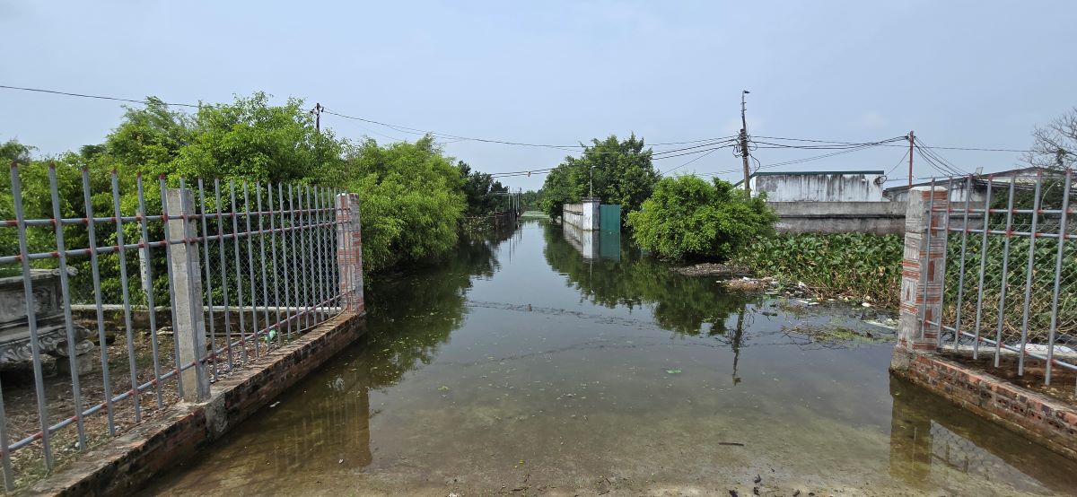 Tinh trang ngap lut, nuoc den co mui hoi, thoi o thon Binh Minh, xa Bach Thuan du mua da tanh, nuoc song da rut. Anh: Trung Du