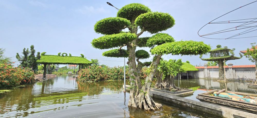 Nha vuon Duc Oai cua gia dinh ong Nguyen Van Oai ngap sau trong bien nuoc. Anh: Trung Du