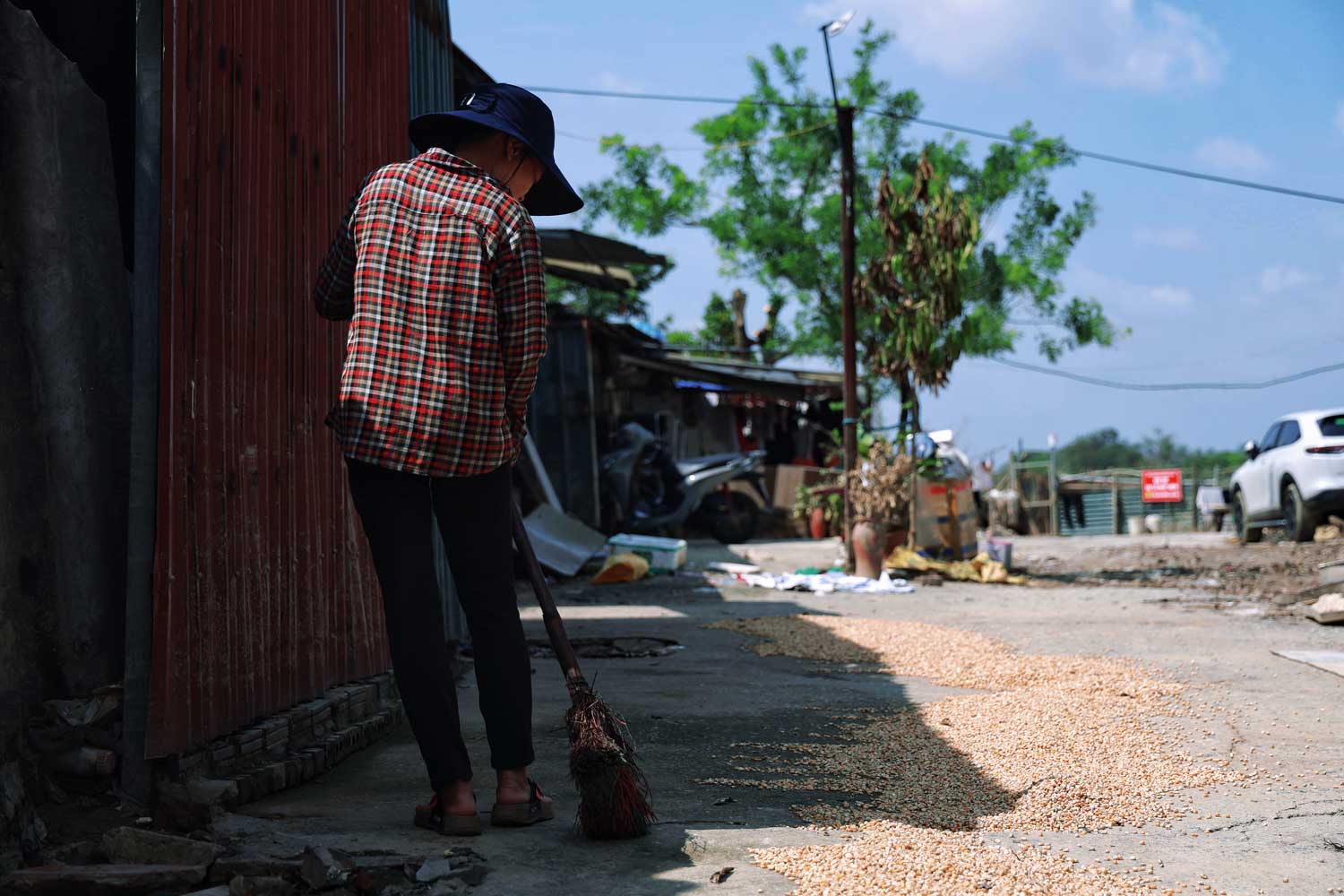 Tranh thủ trời nắng, người phụ nữ này phải mang ngô ra ngoài phơi sau bao nhiêu ngày ngô chìm trong nước lũ.