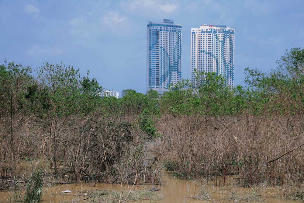 Hiện tại, mực nước sông Hồng đã rút nhiều,