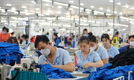 Công nhân đẩy mạnh sản xuất tại Công ty TNHH May xuất nhập khẩu Đức Thành, An Giang. Ảnh: Phong Linh