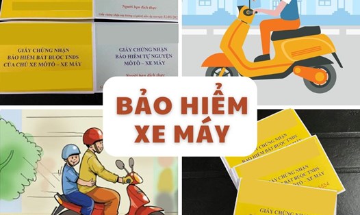 Người điều khiển xe máy cần nắm rõ quy định bảo hiểm mới trong Luật giao thông 2024 để đảm bảo quyền lợi bồi thường khi có sự cố xảy ra. Đồ họa: Quỳnh Anh