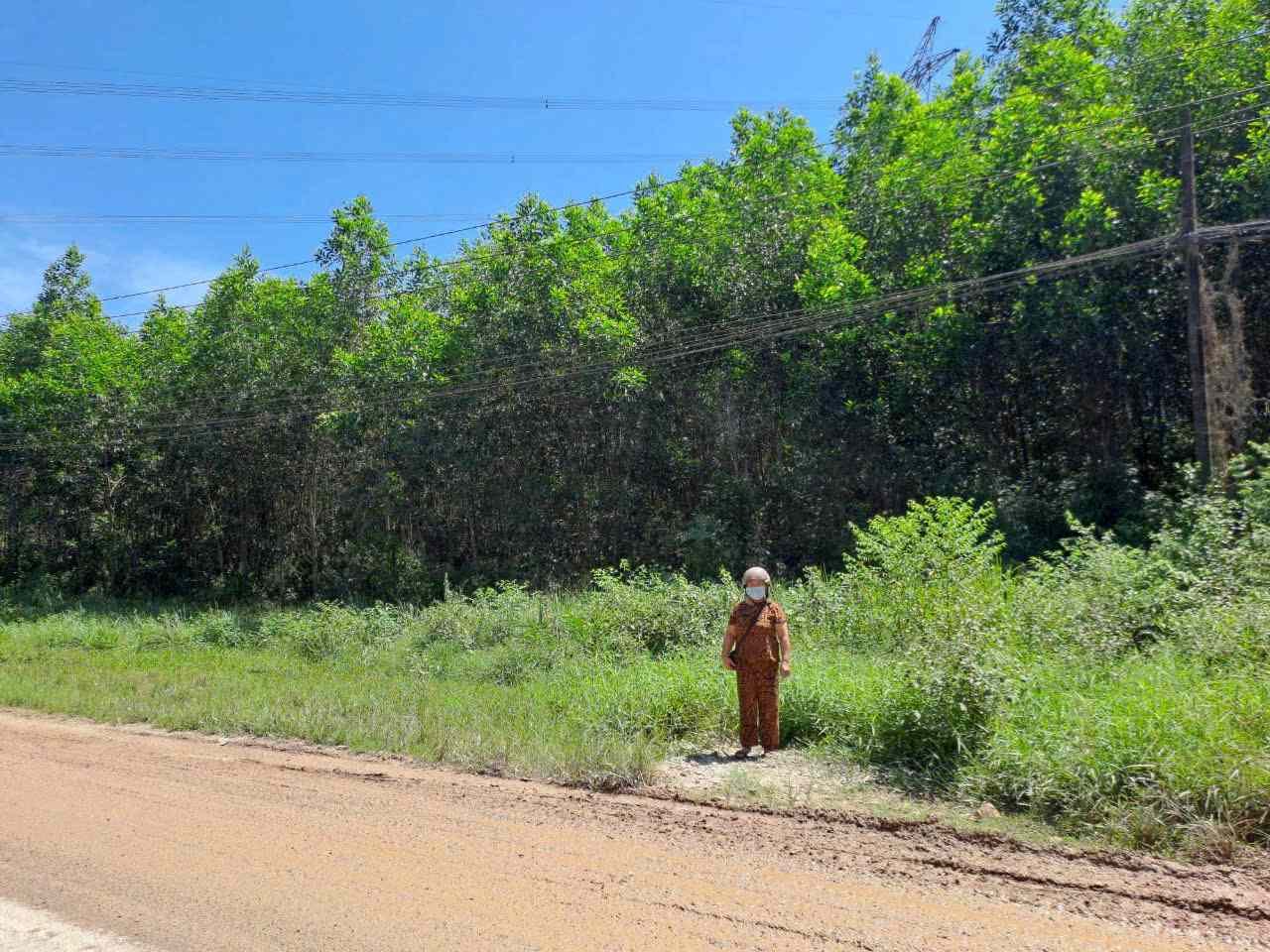 Bà Nguyễn Thị Nhụy tại diện tích đất gần 1.500m2 bị ông Nguyễn Văn Ngọc đem bán cho người khác. Ảnh: Trần Hòe.