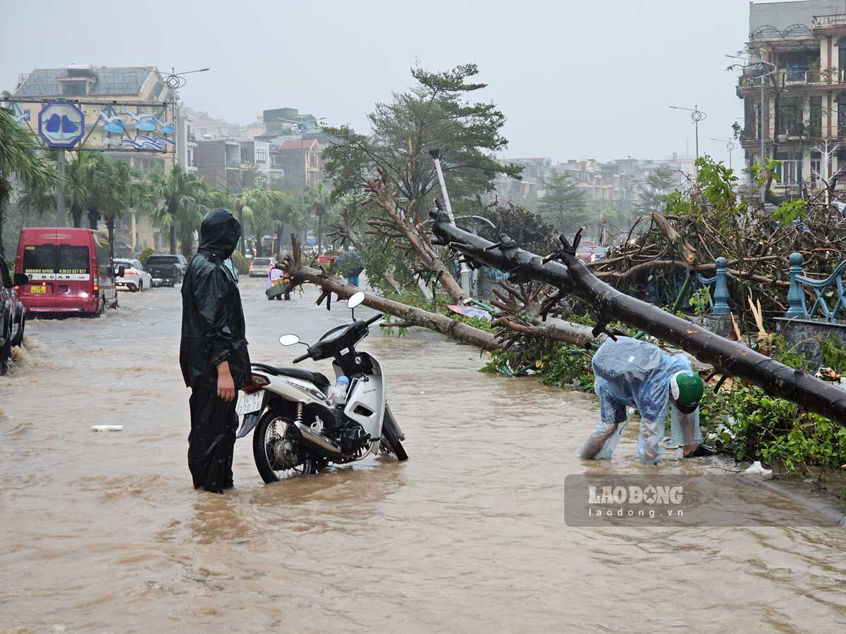 Xu ly cac diem ngap lut tren quoc lo 18, doan qua phuong Hong Hai, TP Ha Long, tinh Quang Ninh. Anh: Doan Hung