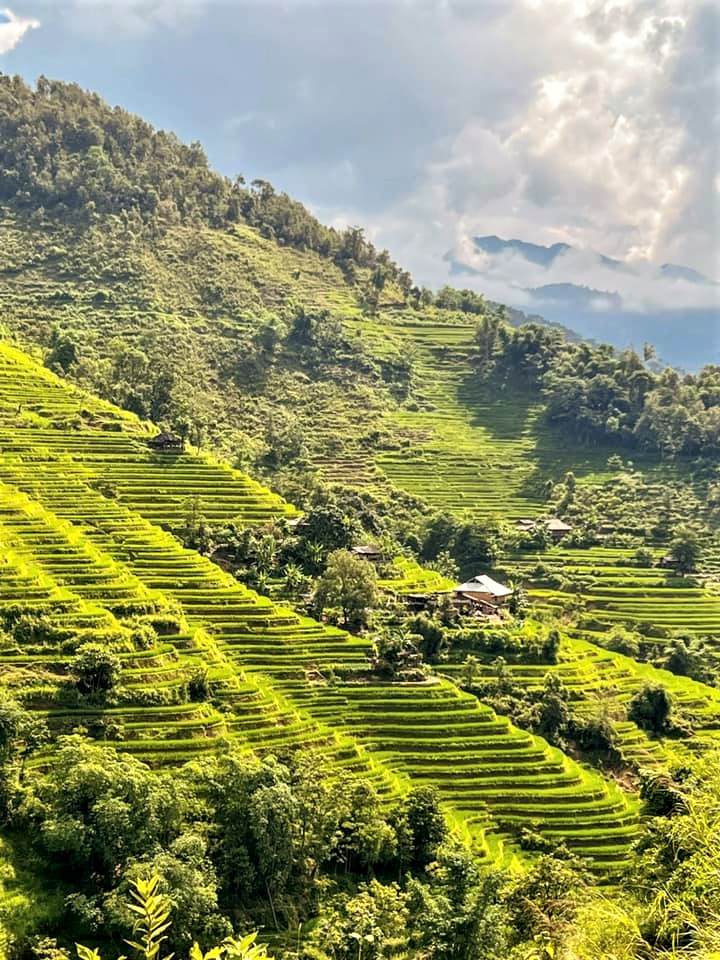   Cách xã Thông Nguyên khoảng 70km là xã Bản Phùng nơi sinh sốngchủ yếu của người La Chí. Hàng năm đây là địa điểm đón nhiều du khách, nhiếp ảnh gia đến ngắm cảnh, chụp ảnh bậc nhất ở Hà Giang. Một homestay có vị trí đẹp tại Bản Phùng cho biết đã đông khách đặt phòng trở lại từ tuần này. Ảnh: Công Trọc