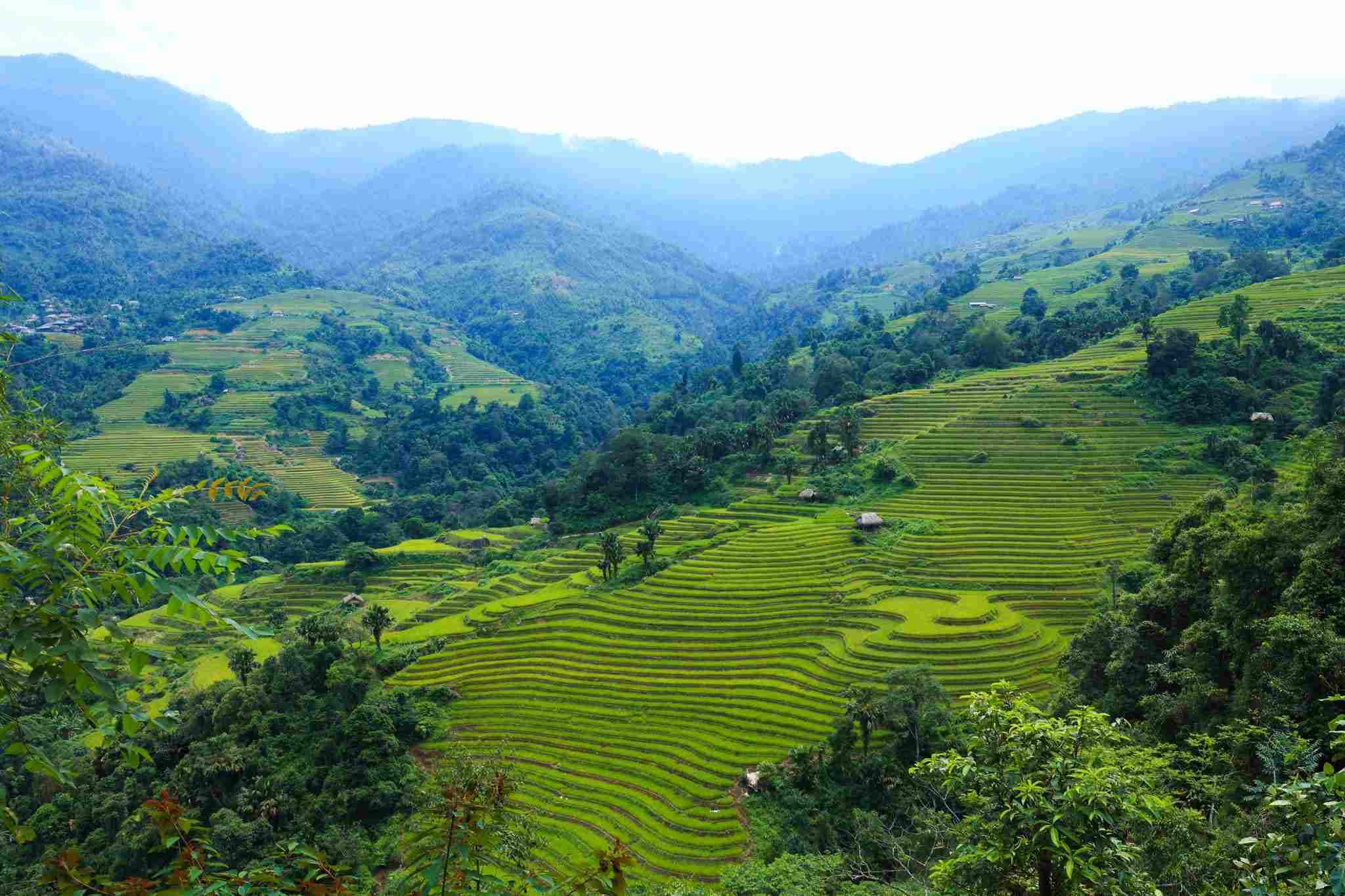 Thuộc địa phận xã Phương Độ cách Hà Giang khoảng 10km là ba bản làng Nà Thác, Khuổi My, Lùng Vài. Đây đều là những thôn vùng cao có ruộng bậc thang vào mùa lúa chín đẹp bậc nhất mà chưa nhiều du khách biết tới. Ảnh: Hoàng Diệu Đế