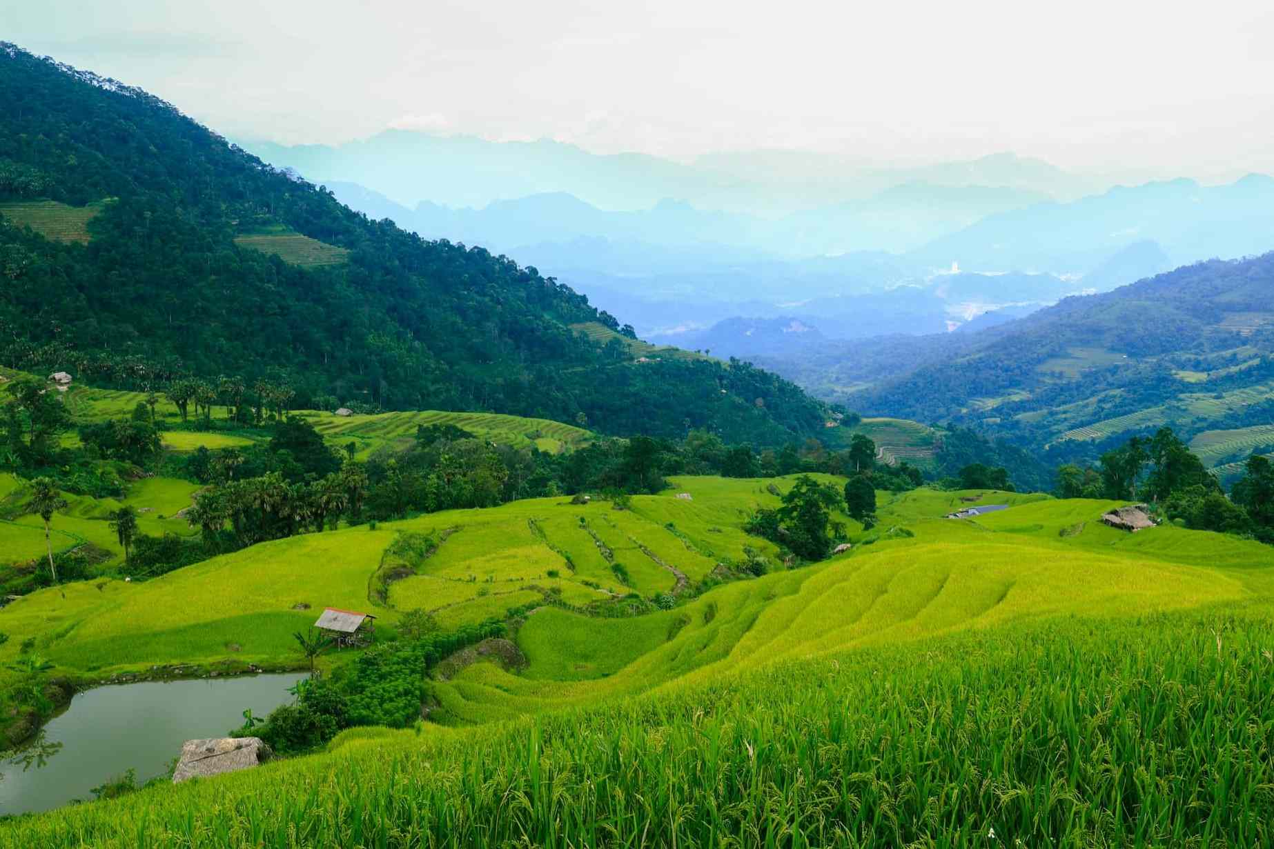 Đường lên tới các bản đã được đổ bê tông, tuy nhỏ hẹp và dốc nhưng không quá khó khăn. Khu vực này có khoảng 90ha ruộng bậc thang, là công sức hàng chục năm canh tác của người dân địa phương. Ảnh: Hoàng Diệu Đế