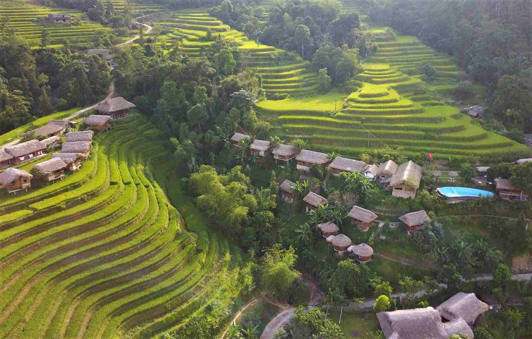 Trong khi nhiều khu vực ở Hà Giang mới ra bông lúa non, ở bản Nậm Hồng đã có một số thửa ruộng chín sớm và chuẩn bị gặt, thời tiết vào thu và dự tính 10.10 lúa chín hết để thu hoạch. Ảnh: Triệu Kinh