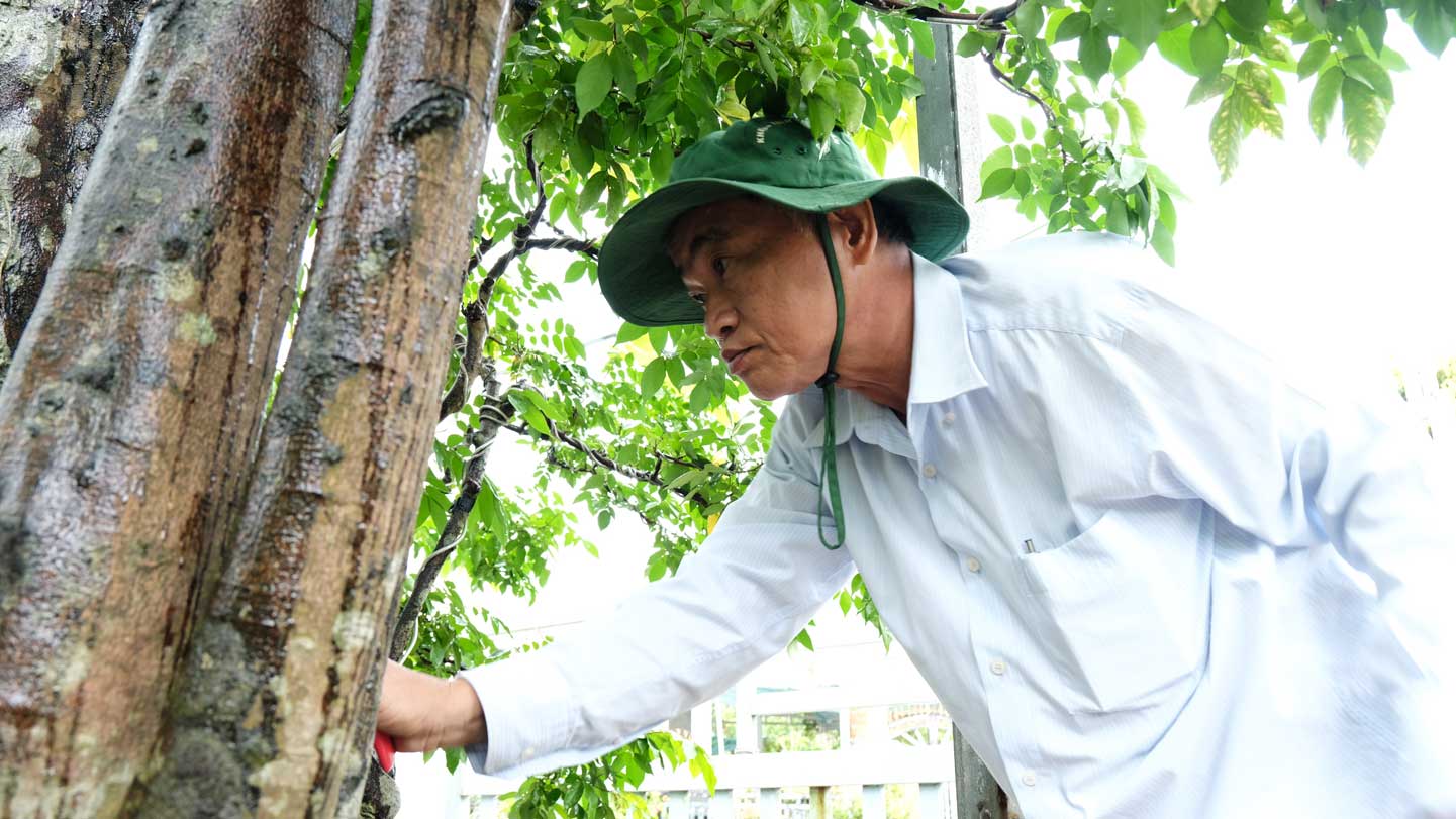 Du duoc nhieu nguoi tu cac tinh, thanh den hoi mua nhung ong Nhan quyet tam giu lai cay khe de cham soc, tao hinh thanh 1 tac pham thuong thuc.