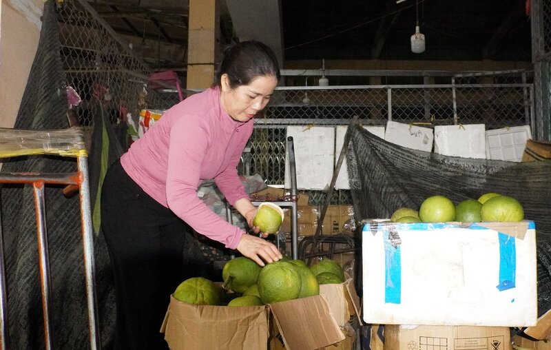 Bà Nguyễn Thị Đông - tiểu thương ở chợ đầu mối nông sản Quảng Ngãi - đã ủng hộ người dân các tỉnh miền Bắc 100 triệu đồng. Ảnh: Viên Nguyễn