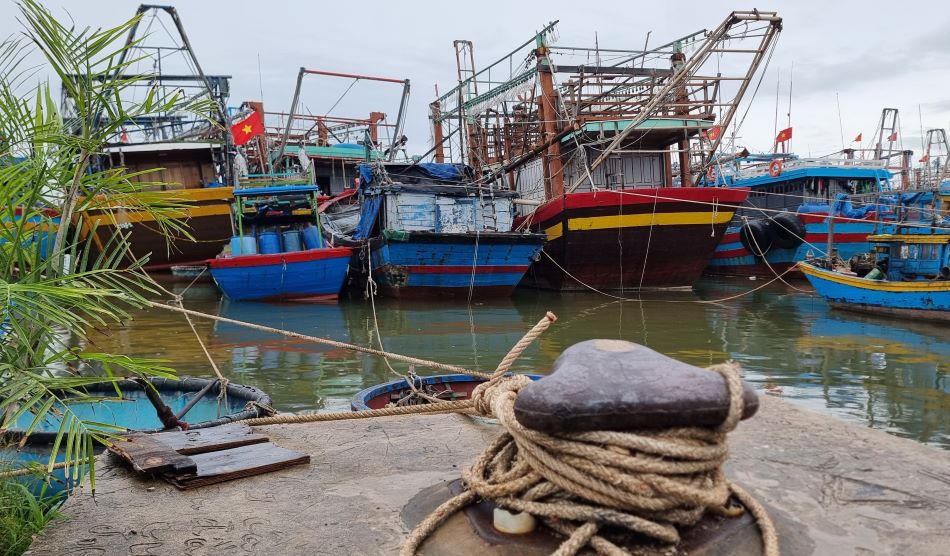 Nguoi dan vung bien tinh Quang Tri da trai qua nhieu tran bao lu, nen khi co du bao, nguoi dan chu dong dua tau thuyen di tranh tru. Trong anh, khu tranh tru bao tai au thuyen Nam Cua Viet (huyen Trieu Phong) co dong tau ca den neo dau.