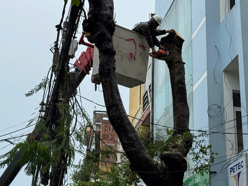 Ngay 18.9, cac cong nhan cat tia cay xanh truoc bao tren cac duong pho o TP Quang Ngai. Anh: Vien Nguyen