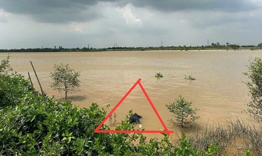 Hiện trường phát hiện tử thi nam giới nổi trên sông Trà Lý chảy qua địa phận xã Đông Quý (huyện Tiền Hải, tỉnh Thái Bình). Ảnh: Người dân cung cấp