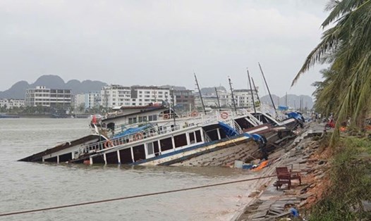 23 tàu neo đậu tại cảng Tuần Châu (TP Hạ Long, tỉnh Quảng Ninh) bị bão Yagi đánh chìm. Ảnh: Nguyễn Hùng