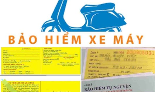 Việc hiểu rõ mức phí bảo hiểm xe máy, trách nhiệm dân sự bắt buộc giúp bạn đảm bảo tuân thủ pháp luật khi tham gia giao thông. Đồ họa: Quỳnh Anh