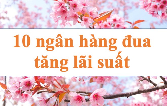 Lãi suất ngân hàng hôm nay 19.9: Mười ngân hàng đua tăng lãi