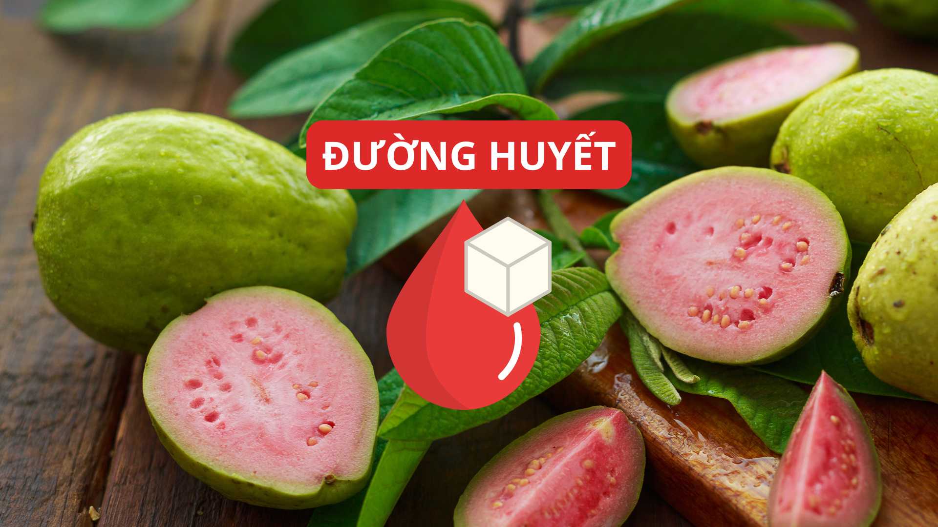 Trà lá ổi kiểm soát lượng đường huyết hiệu quả.