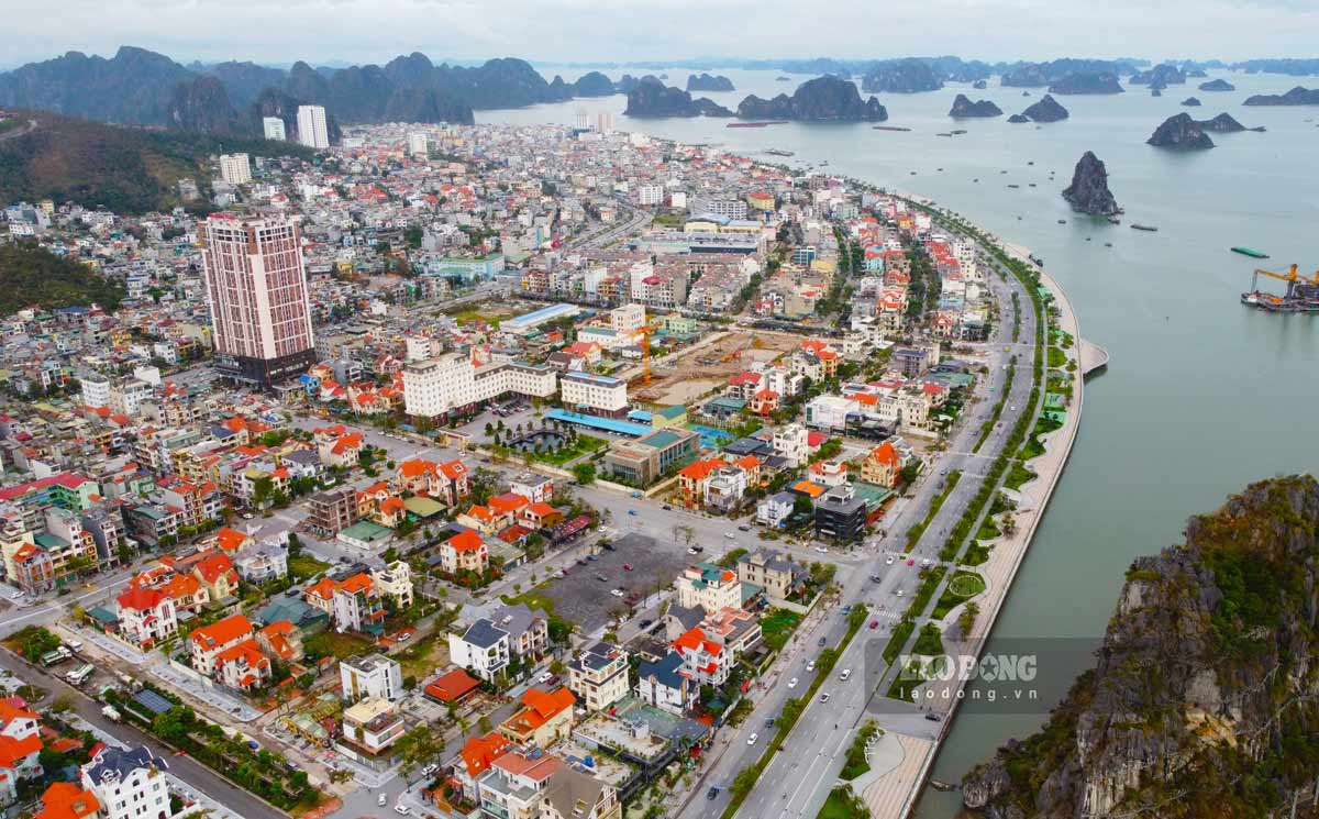 Thành phố Hạ Long cơ bản hoàn thành việc dọn dẹp trên các trục đường sau bão số 3 từ ngày 15.9.2024. Ảnh: Đoàn Hưng