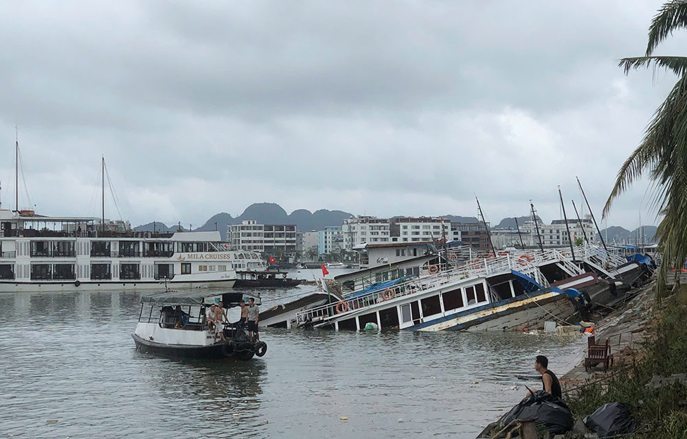 23 tàu neo đậu tại cảng Tuần Châu (TP Hạ Long, tỉnh Quảng Ninh) bị bão Yagi đánh chìm. Ảnh: Phạm Hà