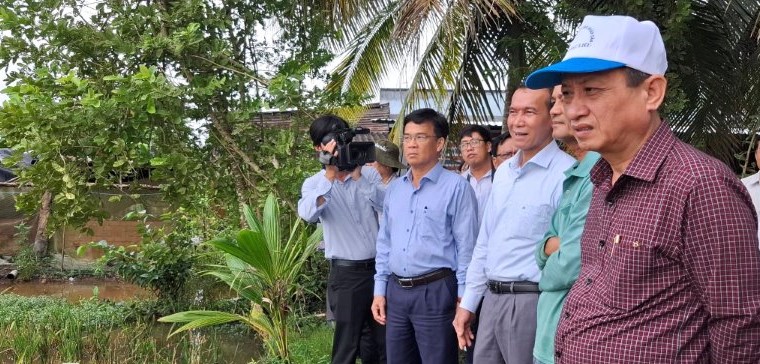 Chủ tịch Bạc Liêu Phạm Văn Thiều kiểm tra thực tế tại những nơi có lúa bị đổ ngã do ảnh hưởng bão. Ảnh: Nhật Hồ