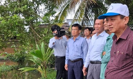 Chủ tịch Bạc Liêu Phạm Văn Thiều kiểm tra thực tế tại những nơi có lúa bị đổ ngã do ảnh hưởng bão. Ảnh: Nhật Hồ