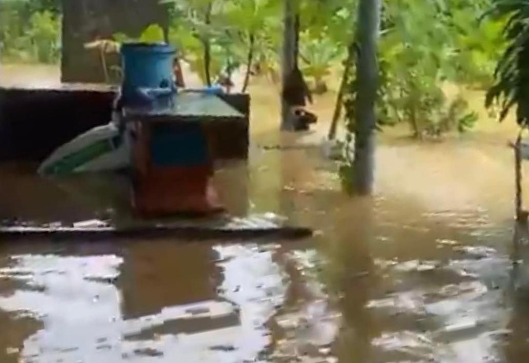 Mưa lớn khiến nhiều hộ dân ở Quảng Bình bị ngập. Ảnh: H. Hường