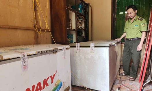 Cán bộ Hạt Kiểm lâm Thọ Xuân phải ngày đêm canh giữ xác 2 con hổ. Ảnh: Xuân Hùng