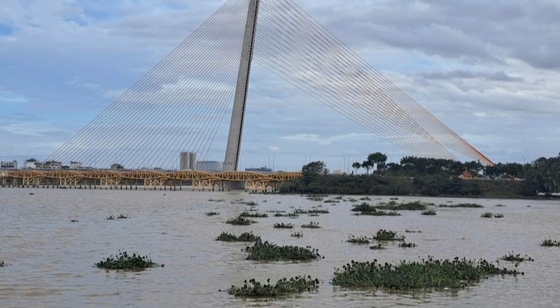 Lục bình trôi dạt kín bên bờ sông Hàn ở Đà Nẵng sau mưa lớn. Ảnh: Nguyễn Linh