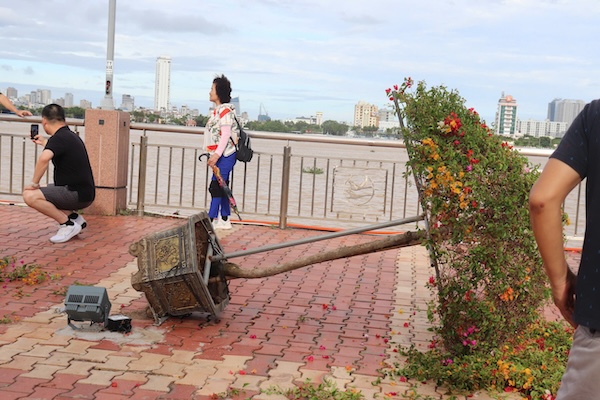 Chậu hoa giấy được chủ động đặt nằm để tránh thiệt hại do mưa bão. Ảnh: Nguyễn Linh