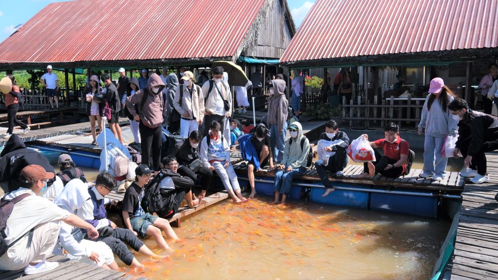 Guests enjoy experiencing foot massage with fish. Photo: Phong Linh