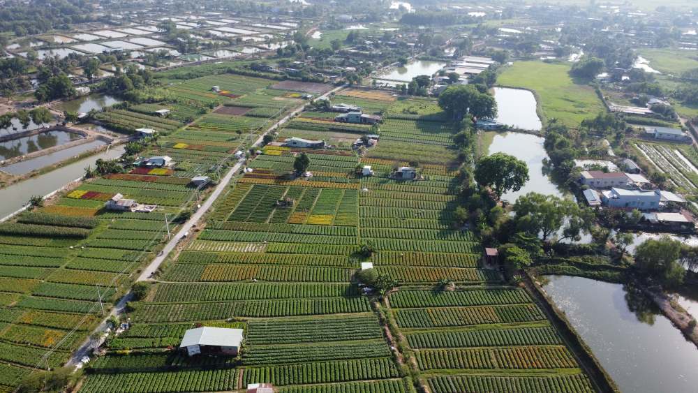 Khu đất trống tại khu phố Tân Ba, phường Thái Hòa, thành phố Tân Uyên. Ảnh: Đình Trọng