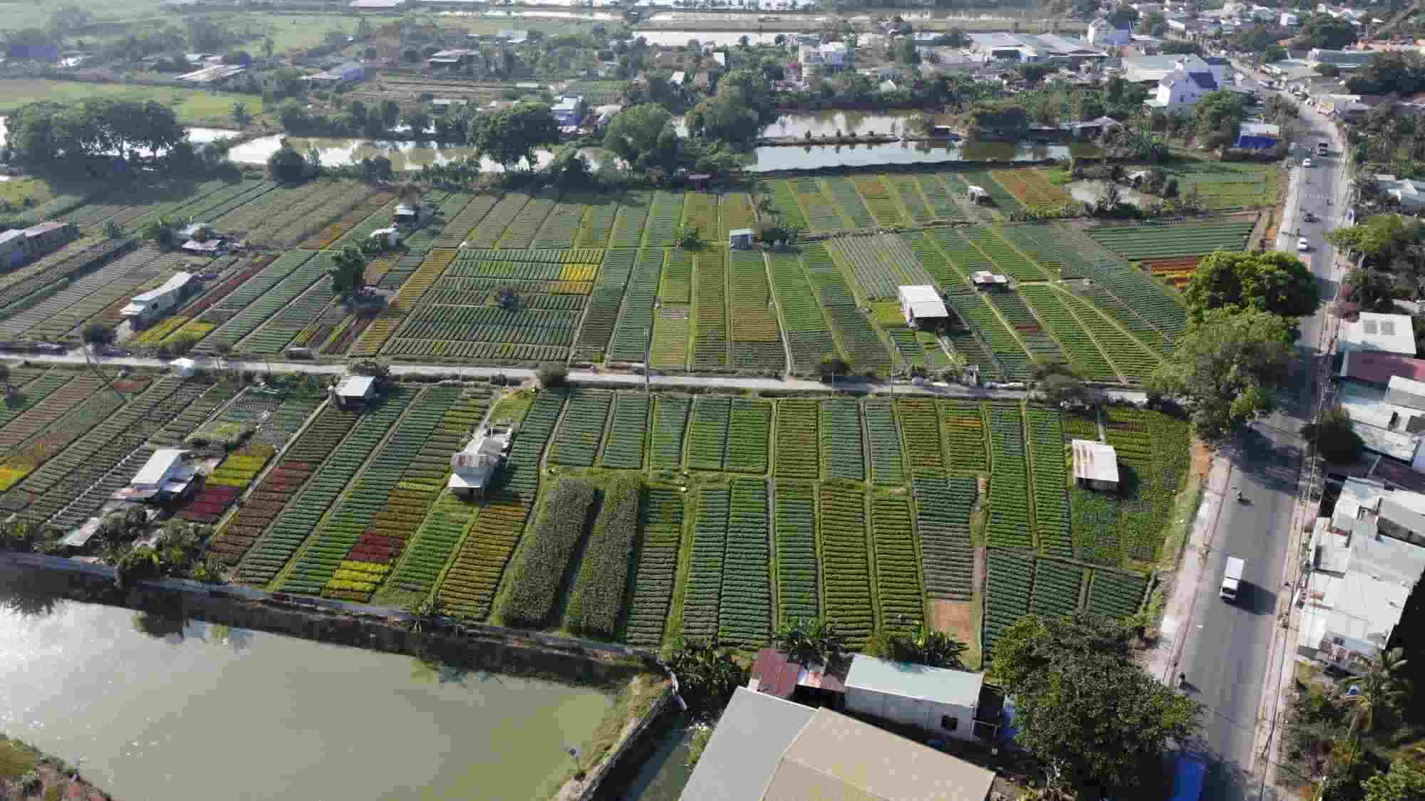 There are about 273 hectares of land to implement the project. Photo: Dinh Trong