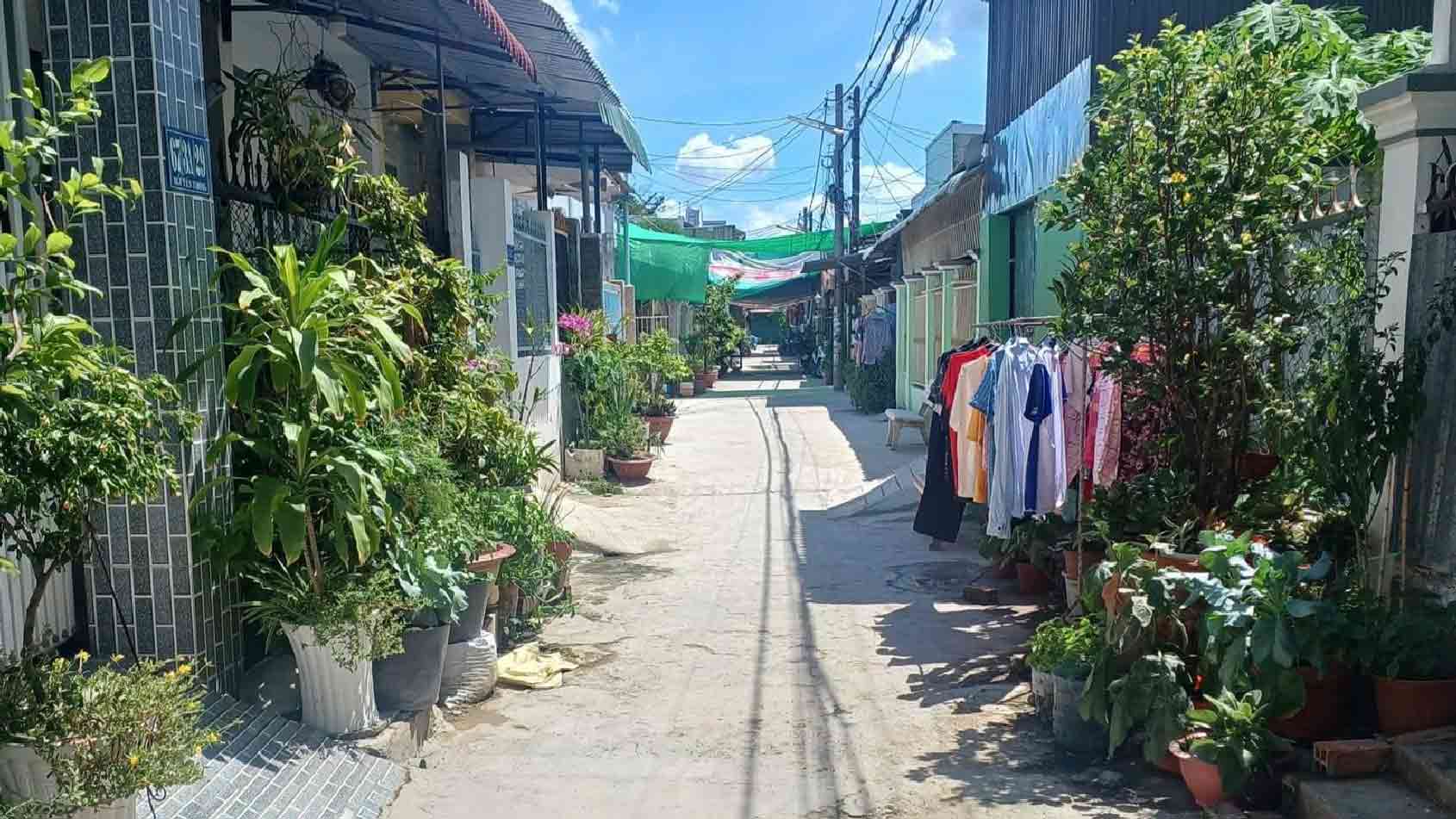 Houses in alleys in Can Tho are for sale with prices continuously increasing. Photo: Kieu Phung