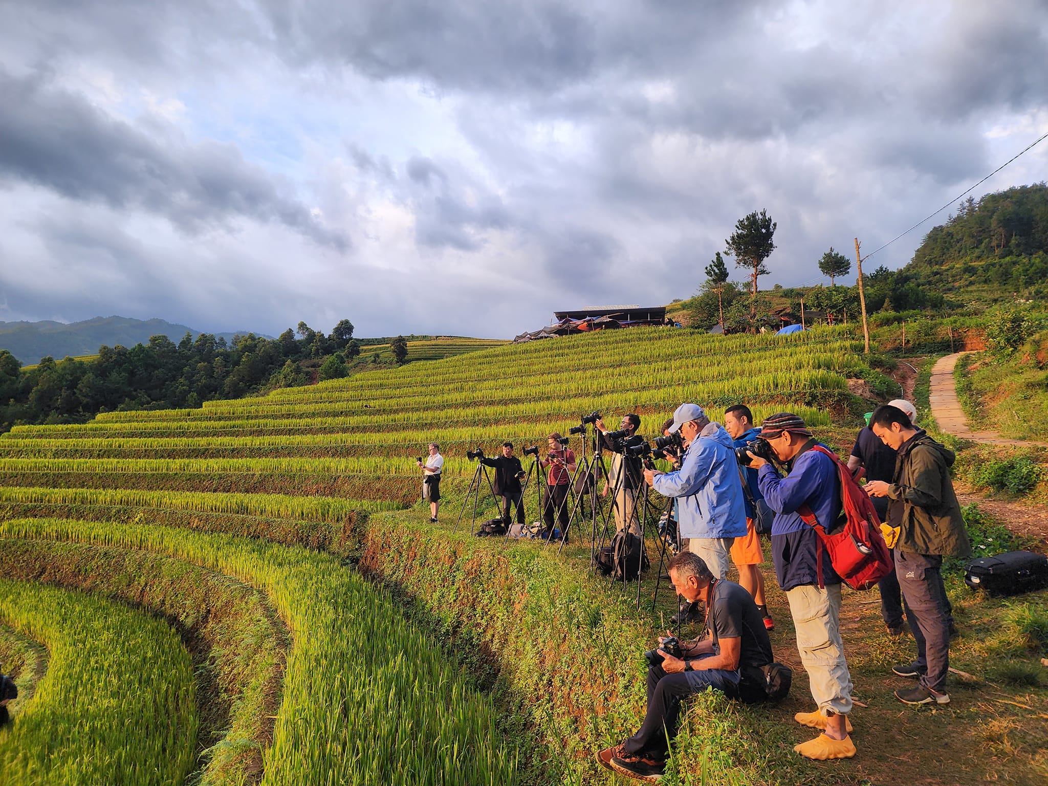 Theo Giang Hanh Phuc, mot huong dan vien dia phuong o Mo De, huyen Mu Cang Chai, tu 15.9 bat dau co du khach tro lai tham quan, chup anh o cac dia diem check-in noi tieng cua huyen. Sang 16.9 tai doi Mong Ngua, du khach chu yeu la nhung nhiep anh gia trong nuoc va quoc te den san anh mua vang. Anh: Giang Hanh Phuc