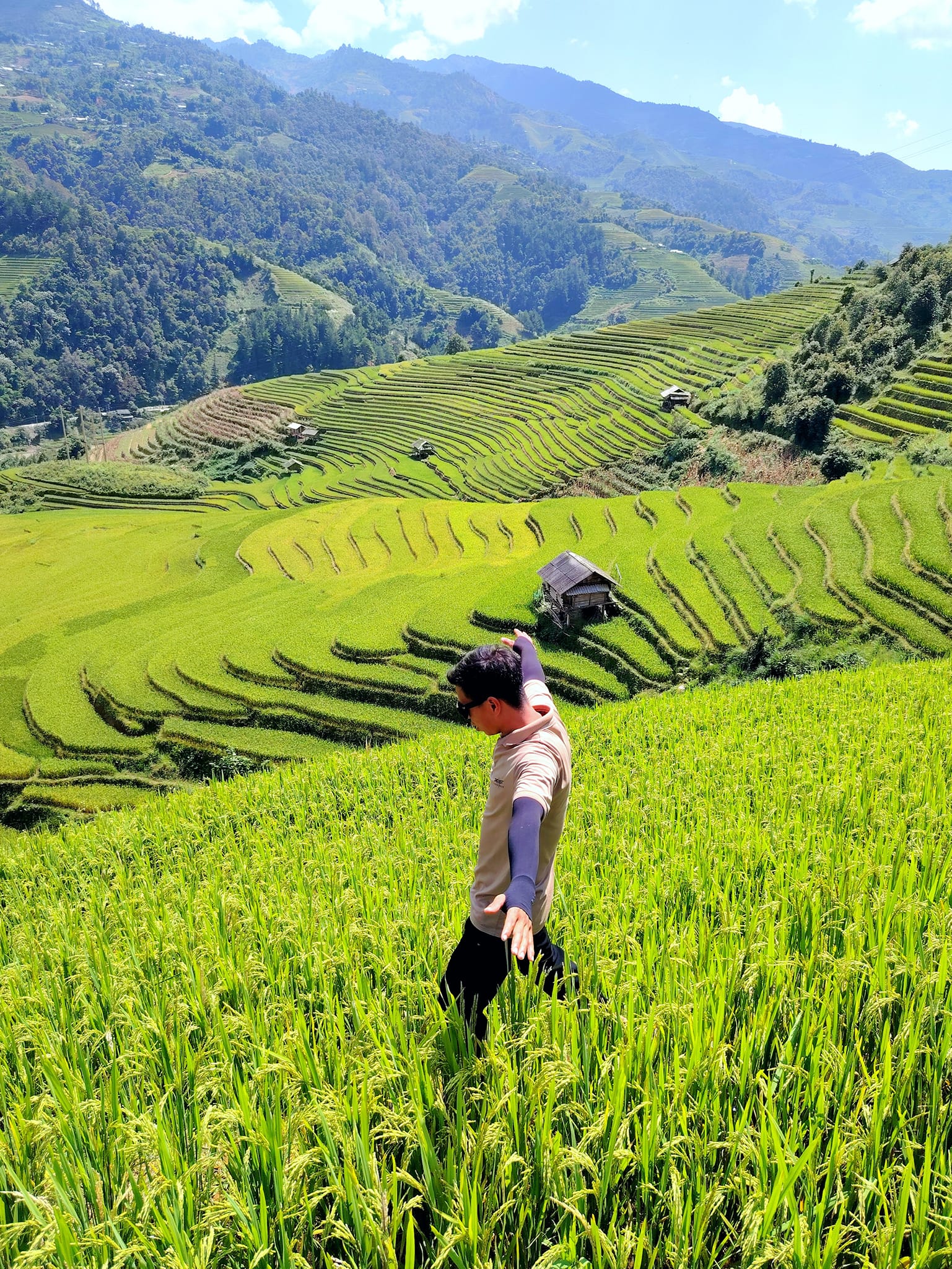 Sau bão Yagi, huyện Mù Cang Chải không bị ảnh hưởng nặng như các địa điểm gần sông như thành phố Yên Bái, huyện Lục Yên, huyện Trấn Yên. Hờ Sinh, hướng dẫn viên địa phương chia sẻ, xe khách từ Hà Nội lên Mù Cang Chải không đi qua các địa điểm đó và quốc lộ 32 lưu thông bình thường, an toàn cho du khách đến tham quan mùa lúa chín. Trong hình là ruộng bậc thang ở xã Chế Cu Nha. Ảnh: Hờ Sinh