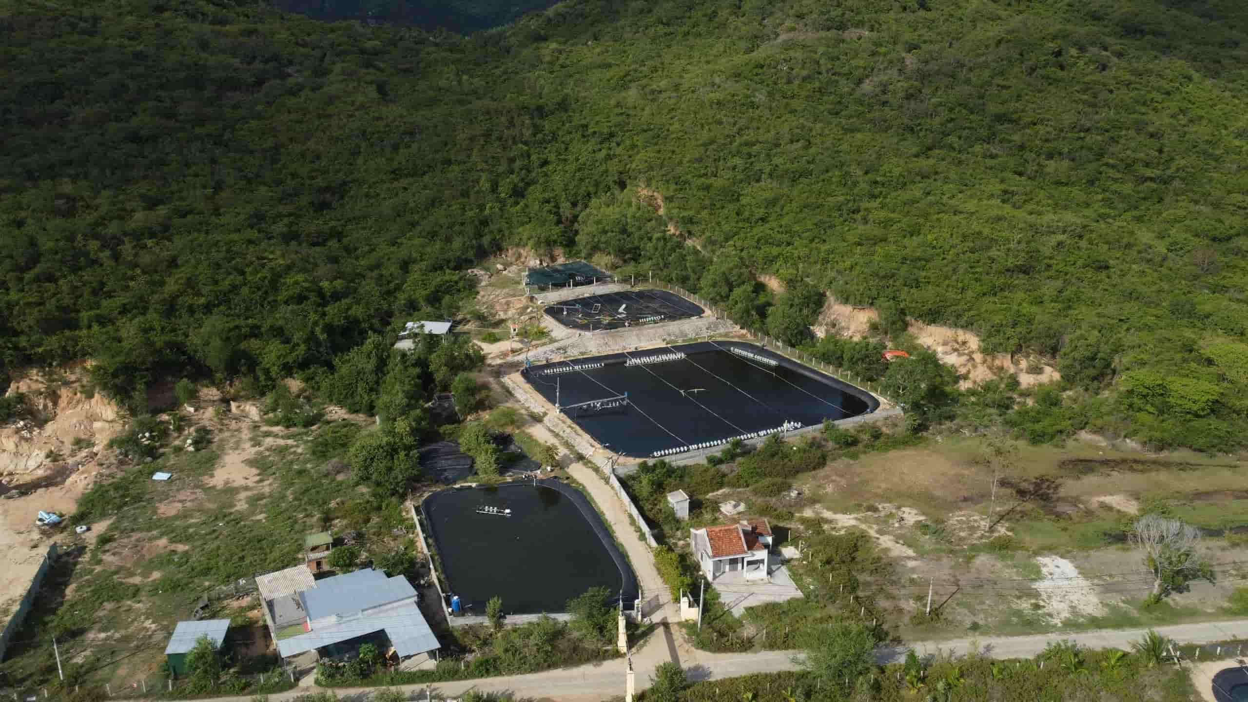 Nhìn từ trên cao, trang trại nuôi tôm được xây dựng sát chân núi tại xã Ninh Phú. Ảnh: Hữu Long