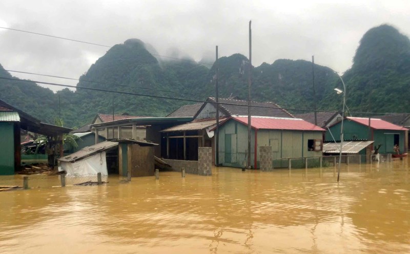 Tan Hoa Commune - The world's best tourist village is deeply submerged in water. Photo: T. Van