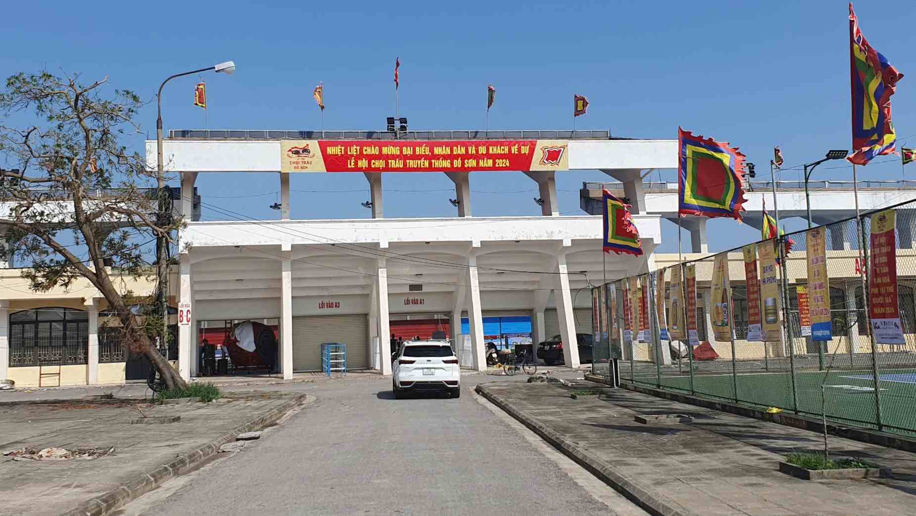 Vòng chung kết lễ hội chọi trâu Đồ Sơn Hải Phòng 2024 diễn ra sáng 21.9. Ảnh: Hoàng Khôi