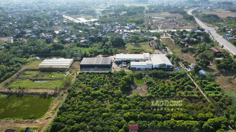 Dự án Trung tâm nông nghiệp ứng dụng công nghệ cao tại phường Đồng Bẩm. Ảnh: Lam Thanh