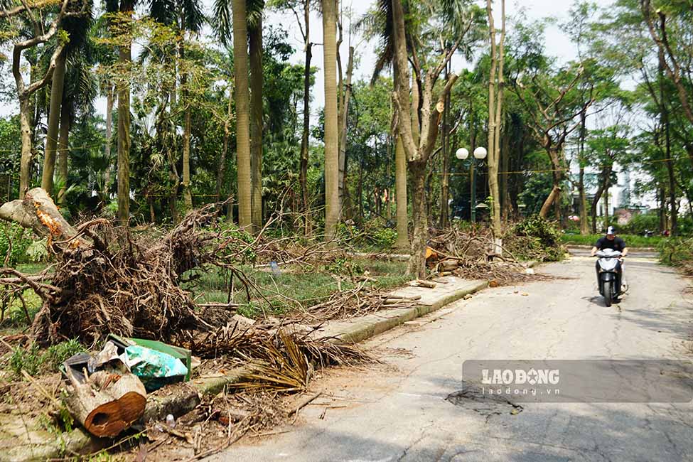 Ngay 20.9, theo ghi nhan cua Lao Dong, ben trong Cong vien Tuoi tre Thu do van con kha ngon ngang.