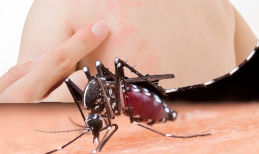 Những dấu hiệu cảnh báo sốt xuất huyết ở trẻ sơ sinh. Đồ hoạ: Thiện Nhân
