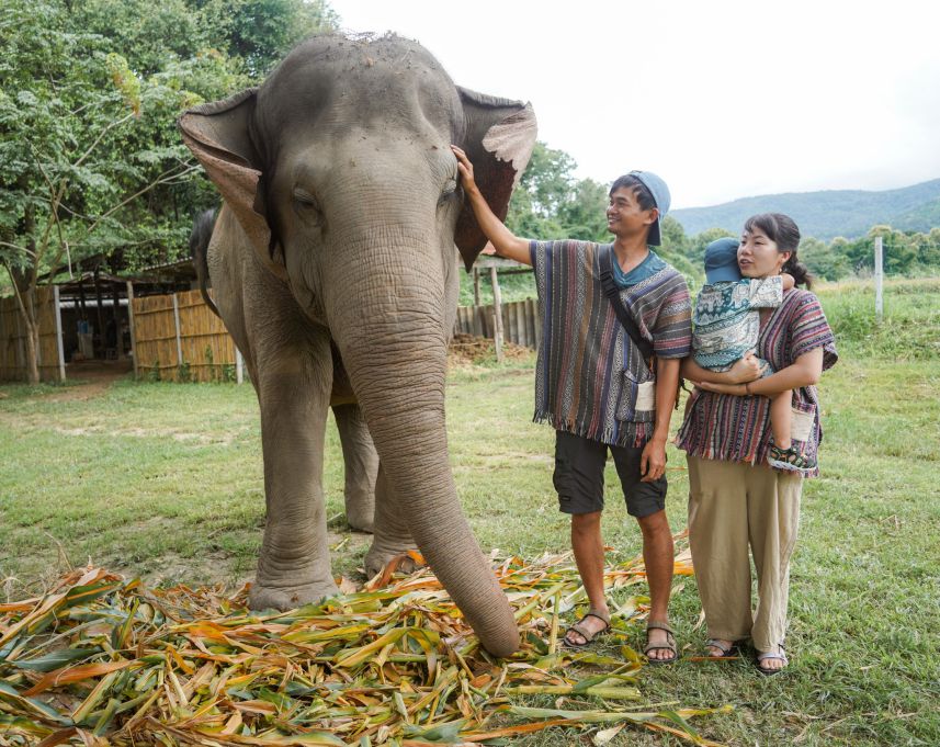 Nha be Ca vui choi o Chiang Mai. Anh: Nhan vat cung cap