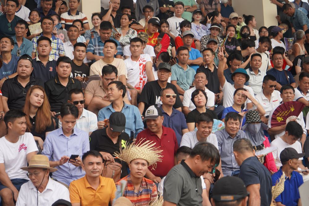 Đông nghẹt người dự lễ hội chọi trâu truyền thống Hải Phòng. Ảnh: Mai Dung