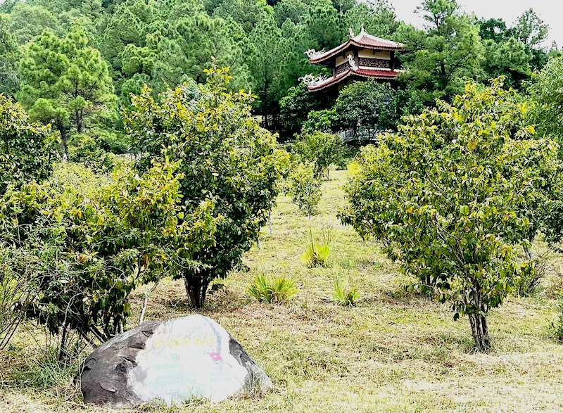 Vũng Chùa - Đảo Yến, nơi phu nhân Đại tướng Võ Nguyên Giáp sẽ được an táng. Ảnh: Lê Phi Long