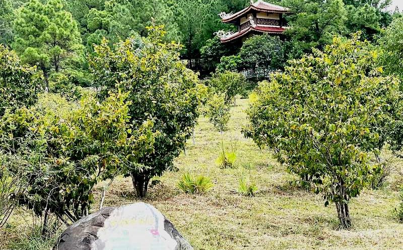 Vũng Chùa - Đảo Yến, nơi phu nhân Đại tướng Võ Nguyên Giáp sẽ được an táng. Ảnh: Lê Phi Long