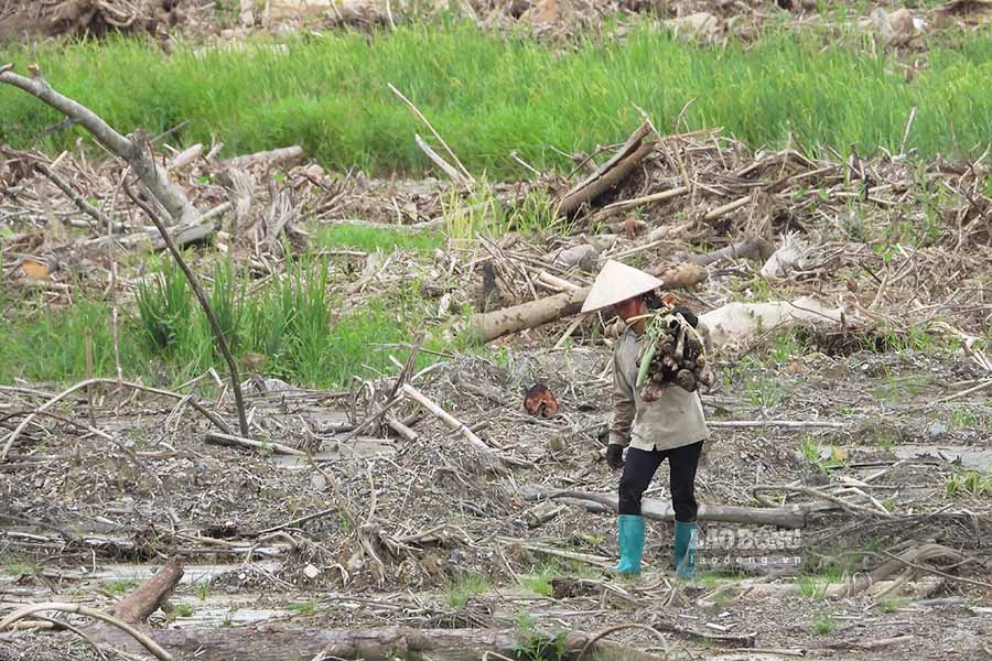 Hien tai, mot trong nhung van de nan giai nhat hien nay la viec khoi phuc san xuat. Hang chuc hec ta dat canh tac bi vui lap, cuon troi, gay anh huong nghiem trong den sinh ke cua nguoi dan.