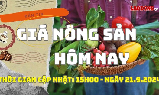 Giá nông sản hôm nay ngày 21.9.2024. Ảnh: Phan Tuấn